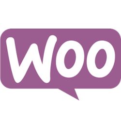 woocommerce-ecommerce-store-designing