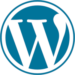 wordpress-website-Designing